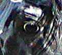 sarceeeye