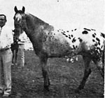 Minidoka Chief F-3609