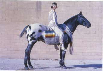 chiefoffourmilecolor