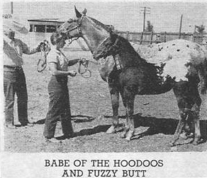 babeofhoodoof1960