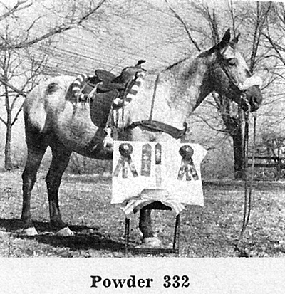 powderf332