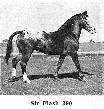 sirflashf390