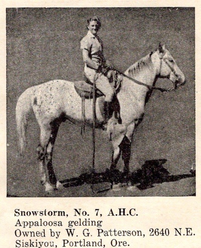 snowstormf7