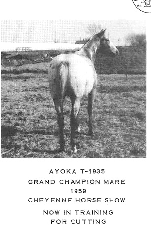 ayokaf3354