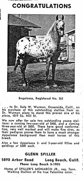 bogaloosa