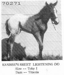 kaniksussheetlightening