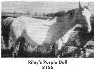 rileysPurpleDollp3