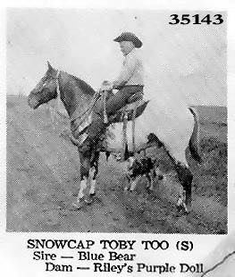 snowcaptobytoo