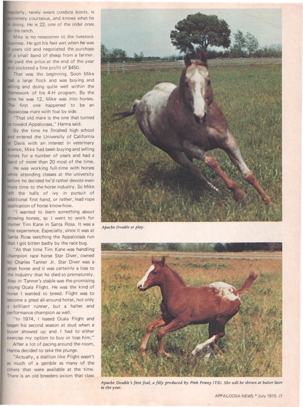 anjul75p7