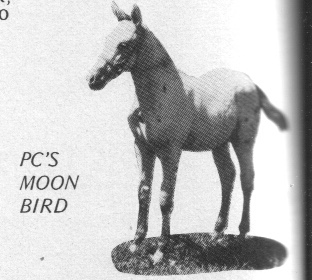pcsmoonbird