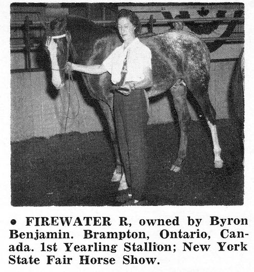 firewaterr1436cc