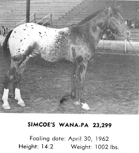 simcoewanapa