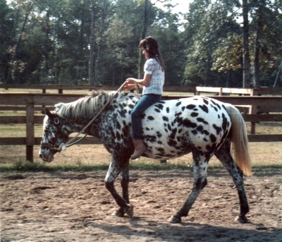 fmwalkaraz2736