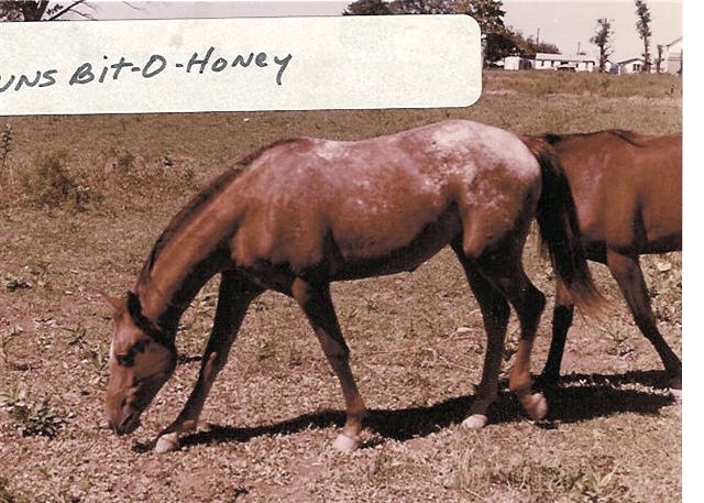 sunsbitohoney2723