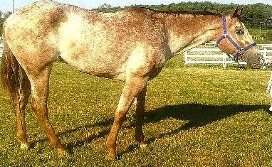 MyDaddyIsLoaded7320