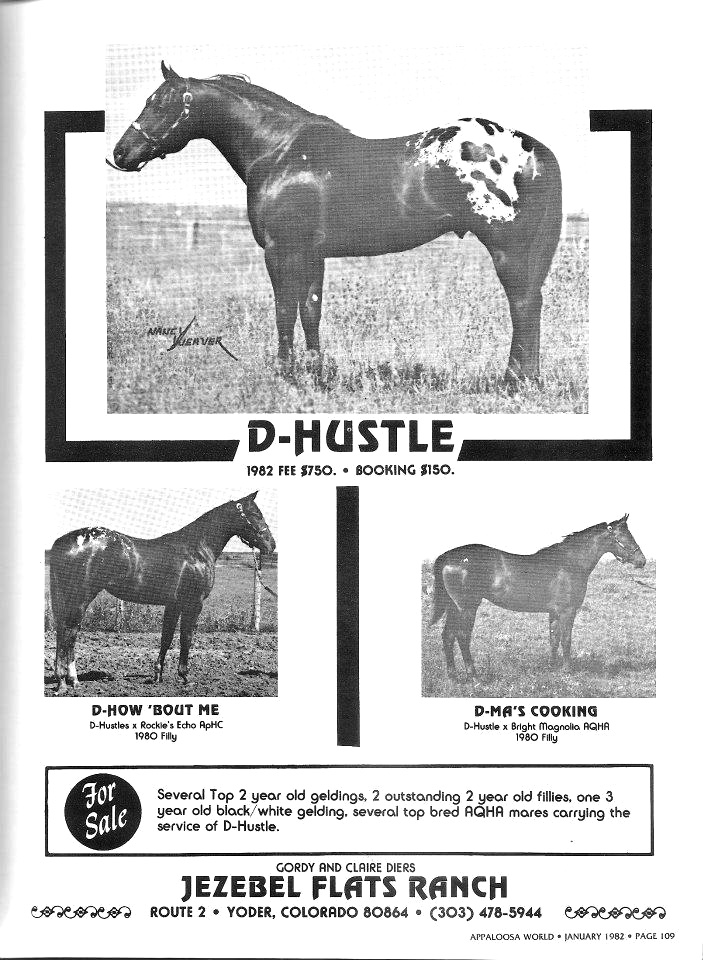 dhustle2ad