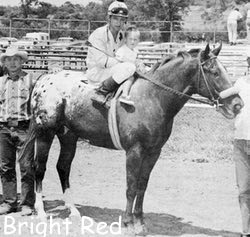 brightred