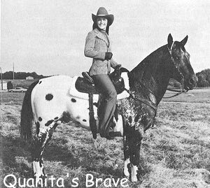 quanitasbrave