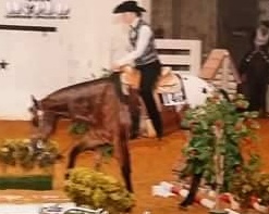 charliedoolin1