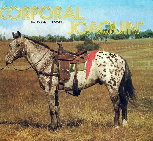 rhcorporaljoaquin