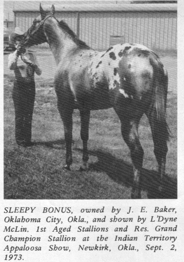 sleepybonus2