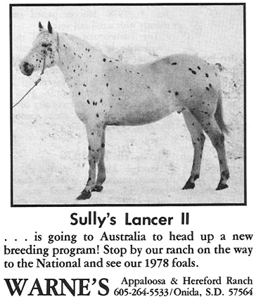 sullyslancerii3