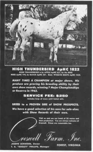 ad2highthunderbird