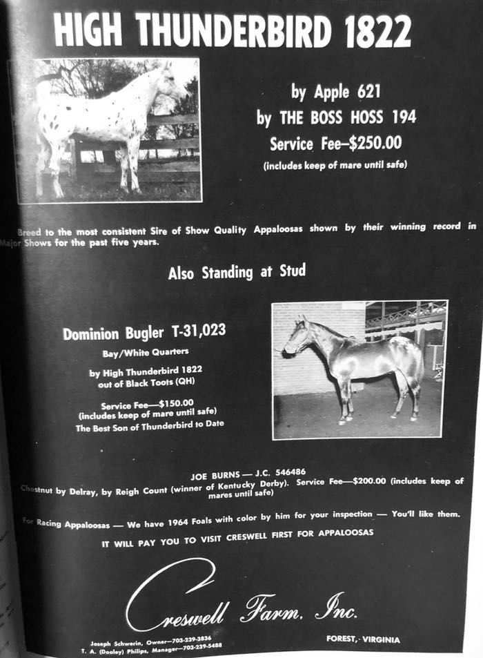 high tbird ad