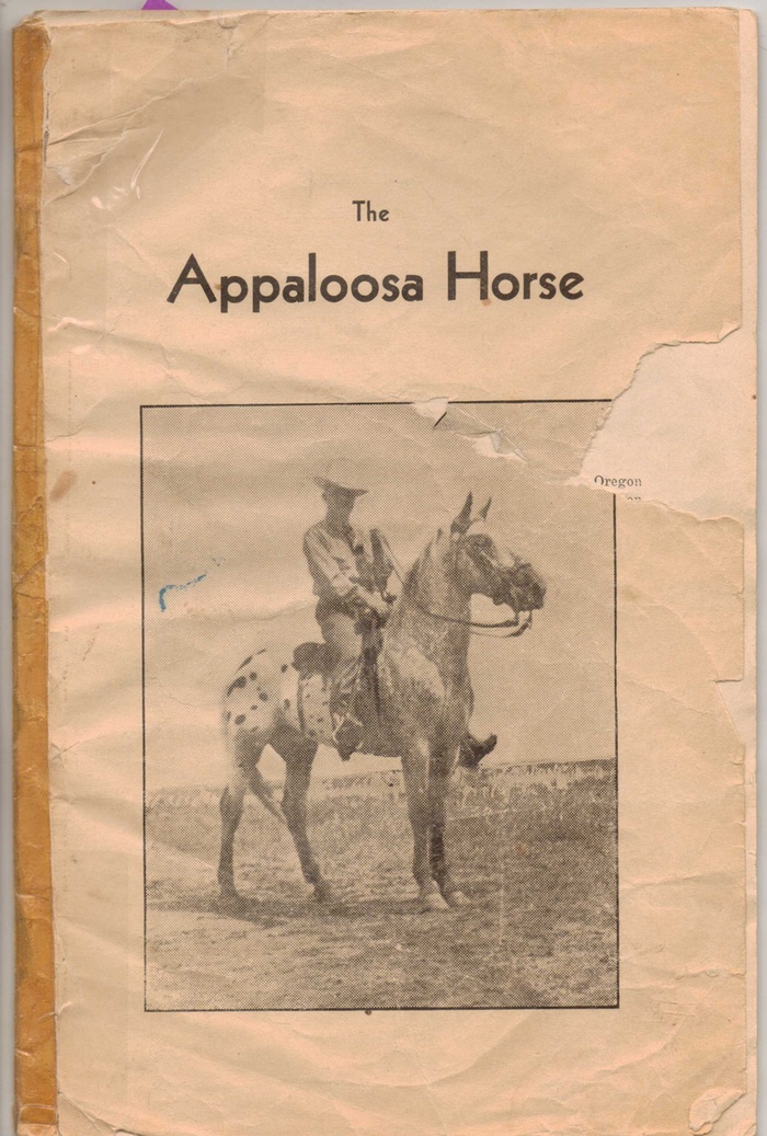 appaloosahorse1