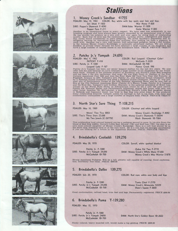 brindabella71d