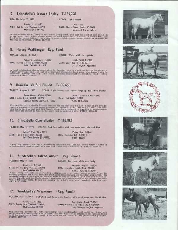 brindabella71e