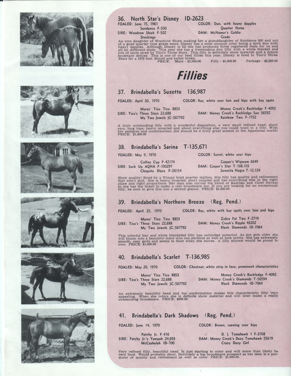 brindabella71j