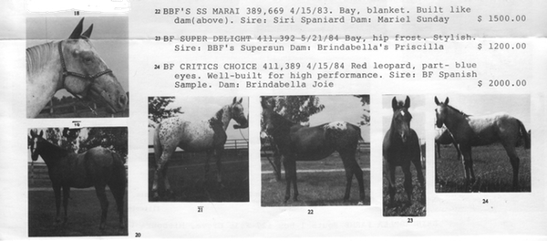 brindabella85b