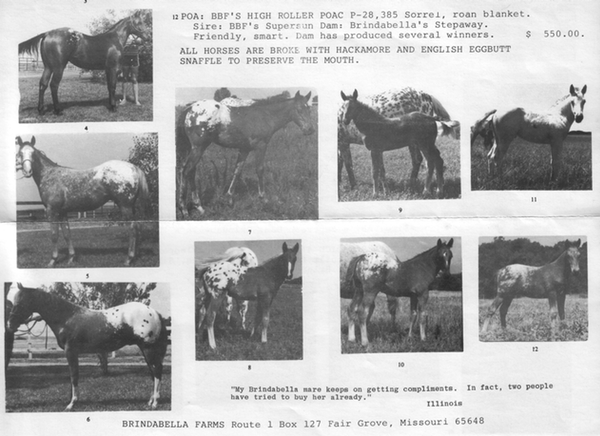 brindabella85d