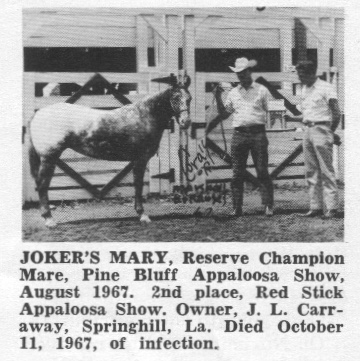 jokersmary