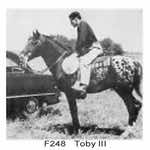 tobyiii