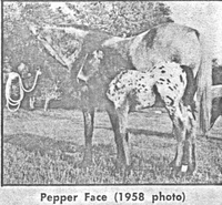 pepperface