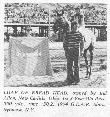 loafofbreadhead
