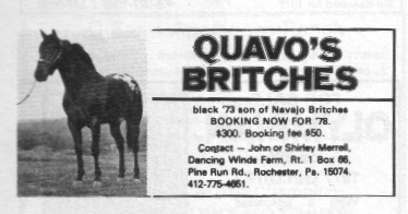 quavosbritches