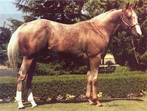 Apache Double