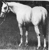 Unaka Sun