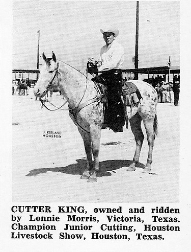 cutterkingptg