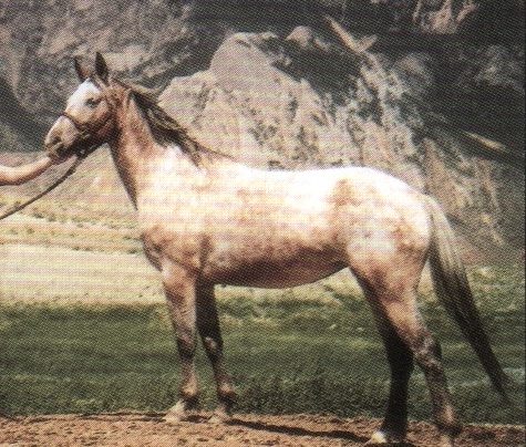 ulrichsbetsy2