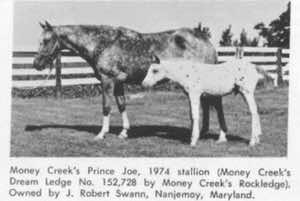 moneycreeksdreamledge4