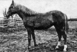 moneycreeksmaywarrioriii