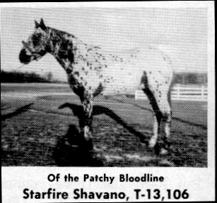 starfireshavano
