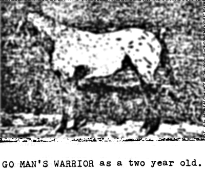Go Man's Warrior
