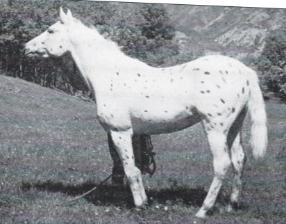 FritzJrT1021a