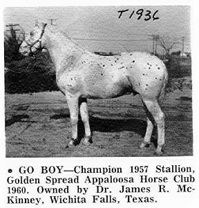 goboy1936c