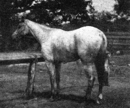 weimanshoboeagle1863